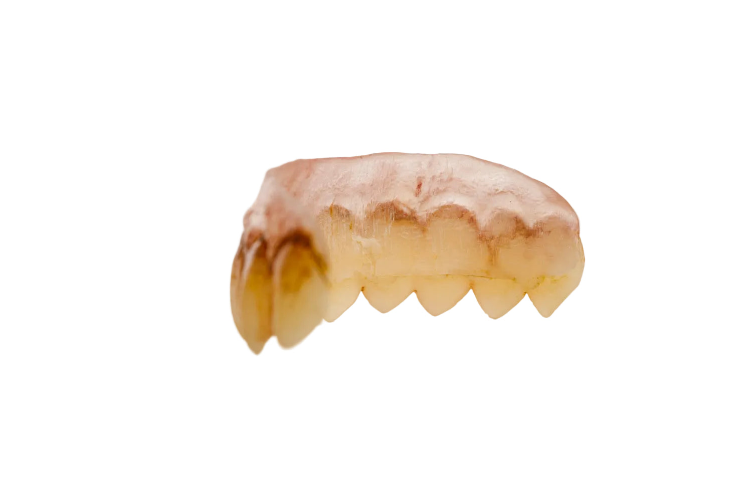 Sawtooth Character Teeth