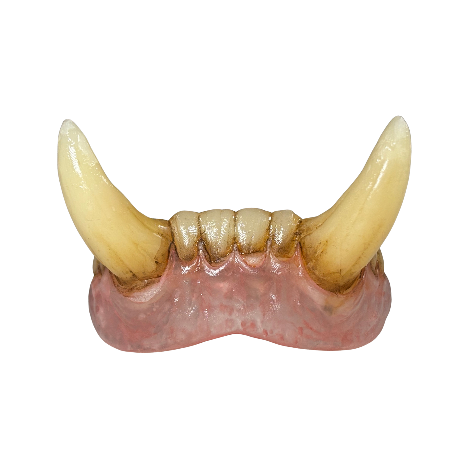 Oversized monster tusk teeth with Comfort Fit for extended wear, designed for orc, beast, and creature cosplay.