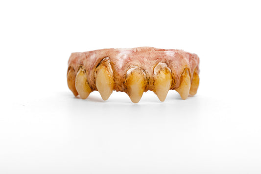 Orcish Teeth