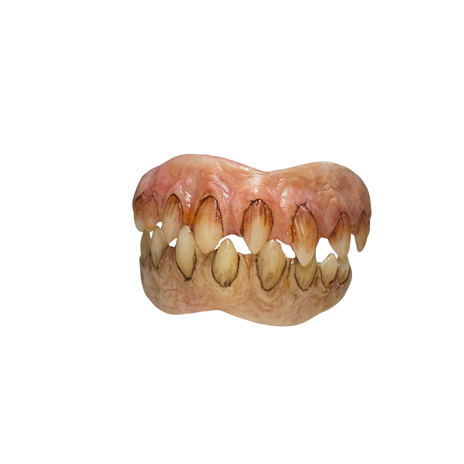 Pointy monster teeth prosthetic with realistic staining and elongated tips, hand painted character teeth with comfort fit system
