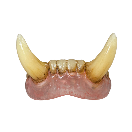 Oversized monster tusk teeth with Comfort Fit for extended wear, designed for orc, beast, and creature cosplay.