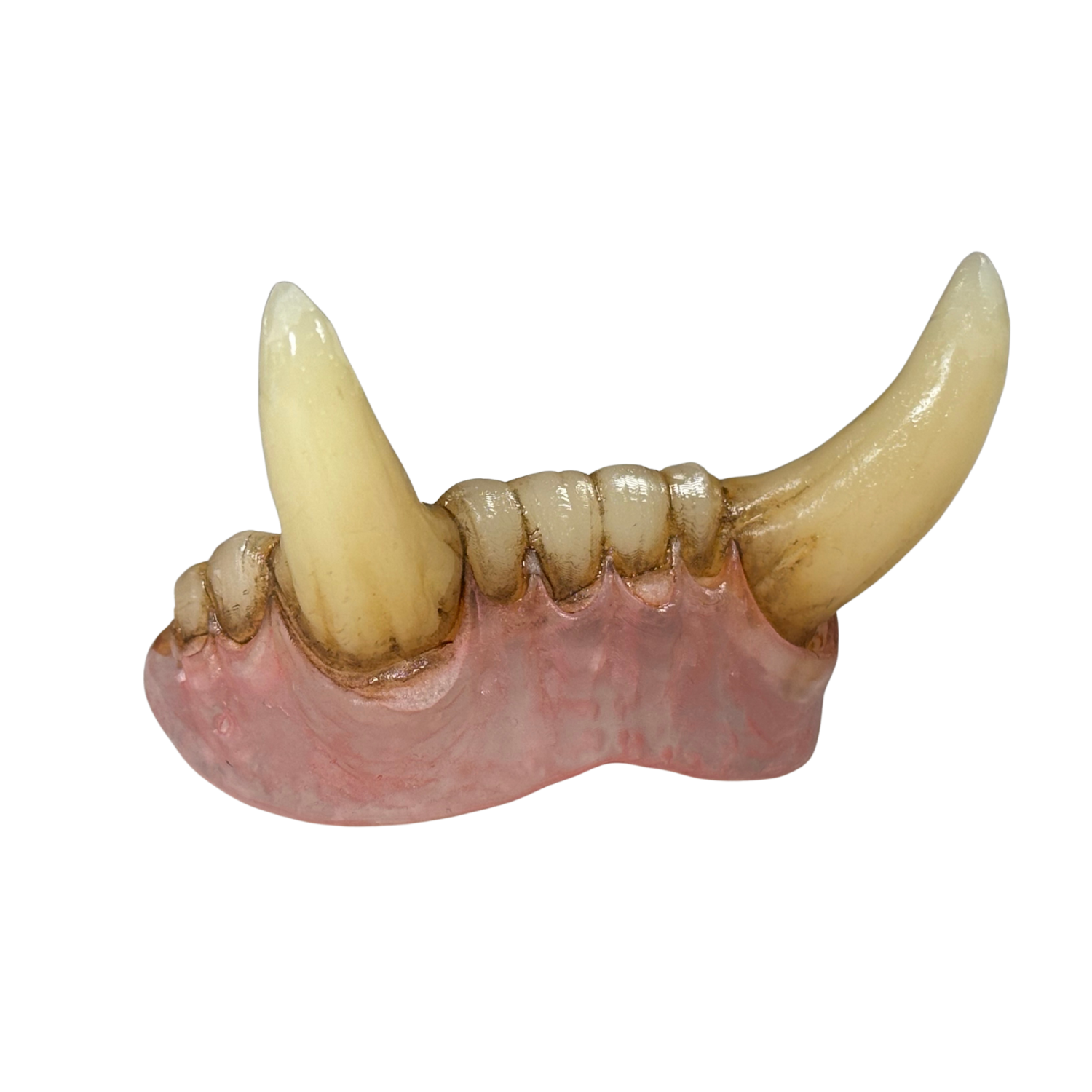 Oversized monster tusk teeth prosthetic for creature and orc cosplay