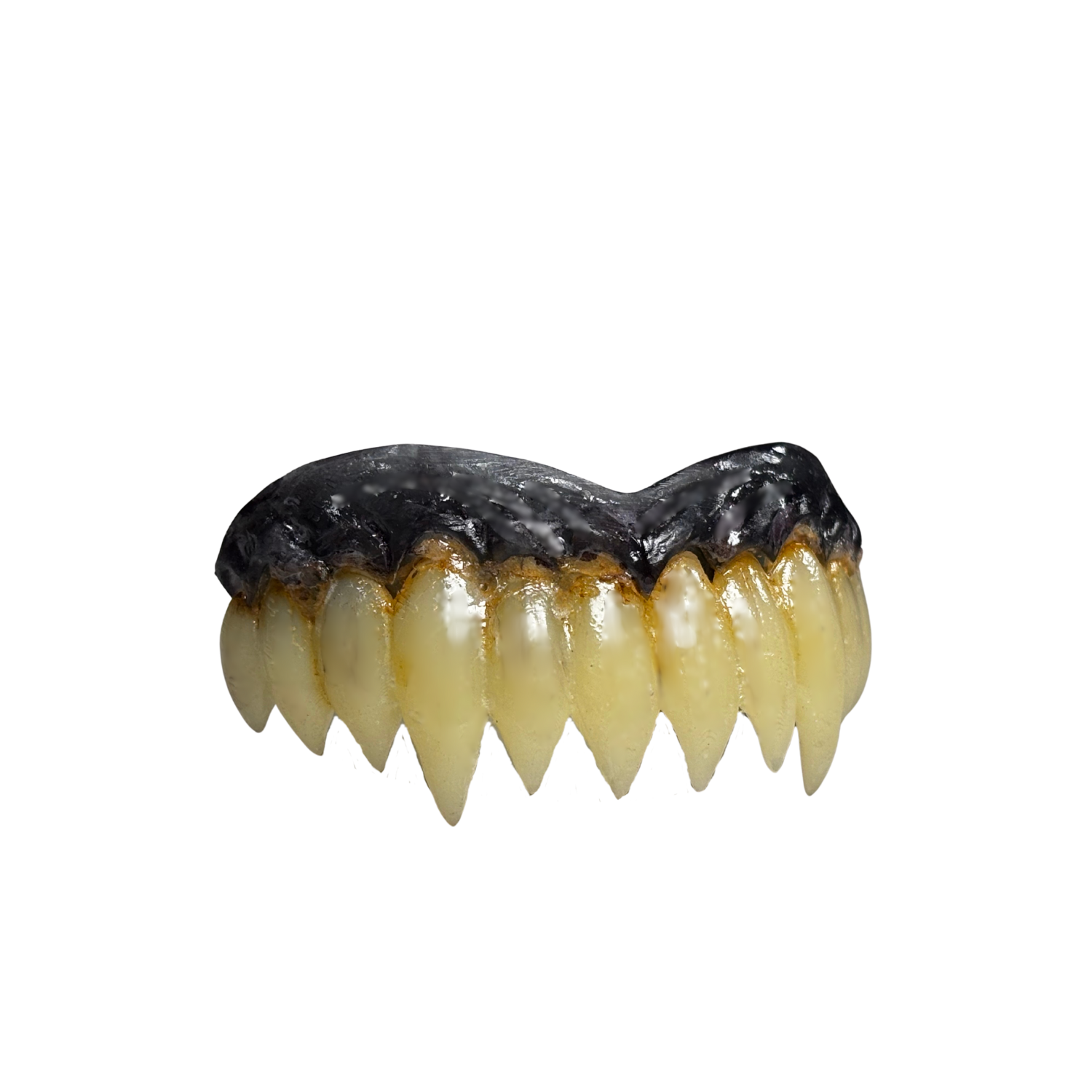 Rippers monster teeth prosthetic with black gums, hand painted creature fangs featuring comfort fit for cosplay FX makeup and Halloween
