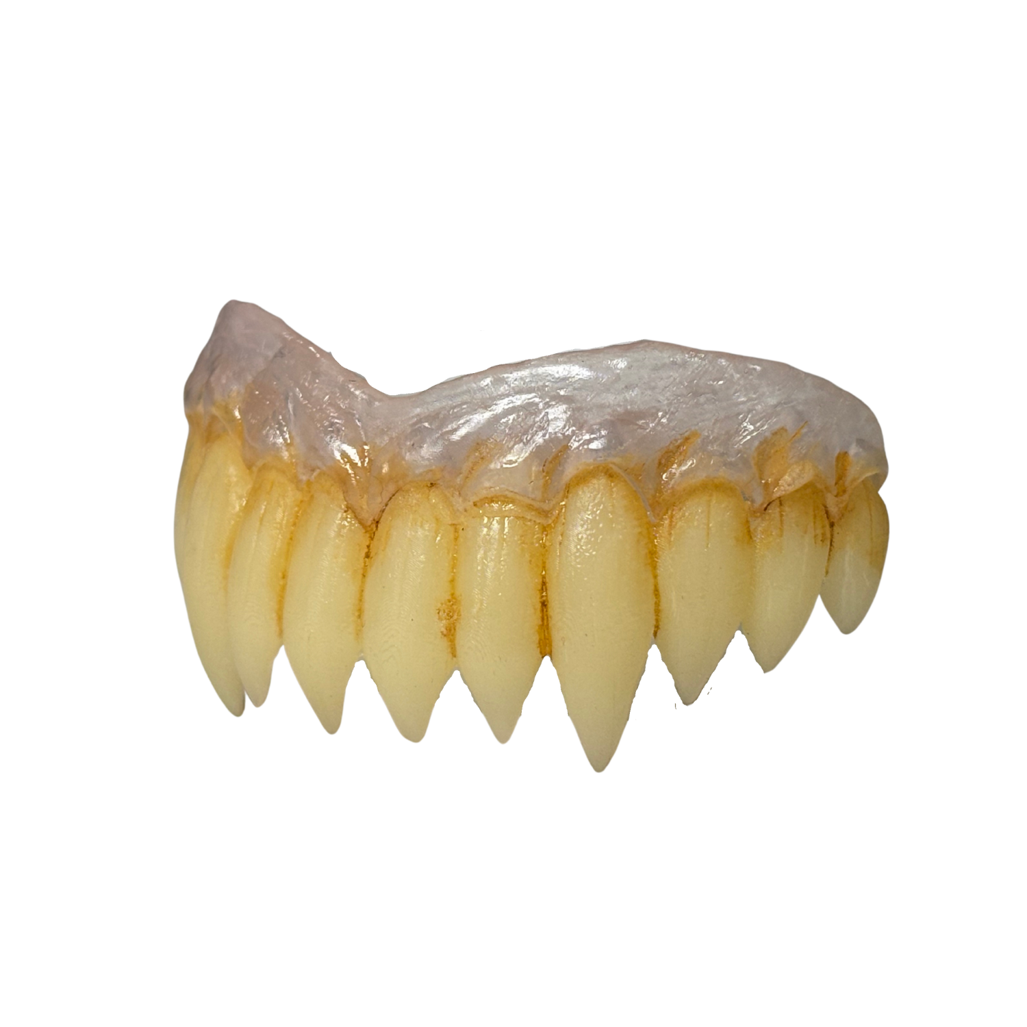 Side view of monster rippers teeth with pink gumline realistic horror teeth prosthetic for cosplay and Halloween
