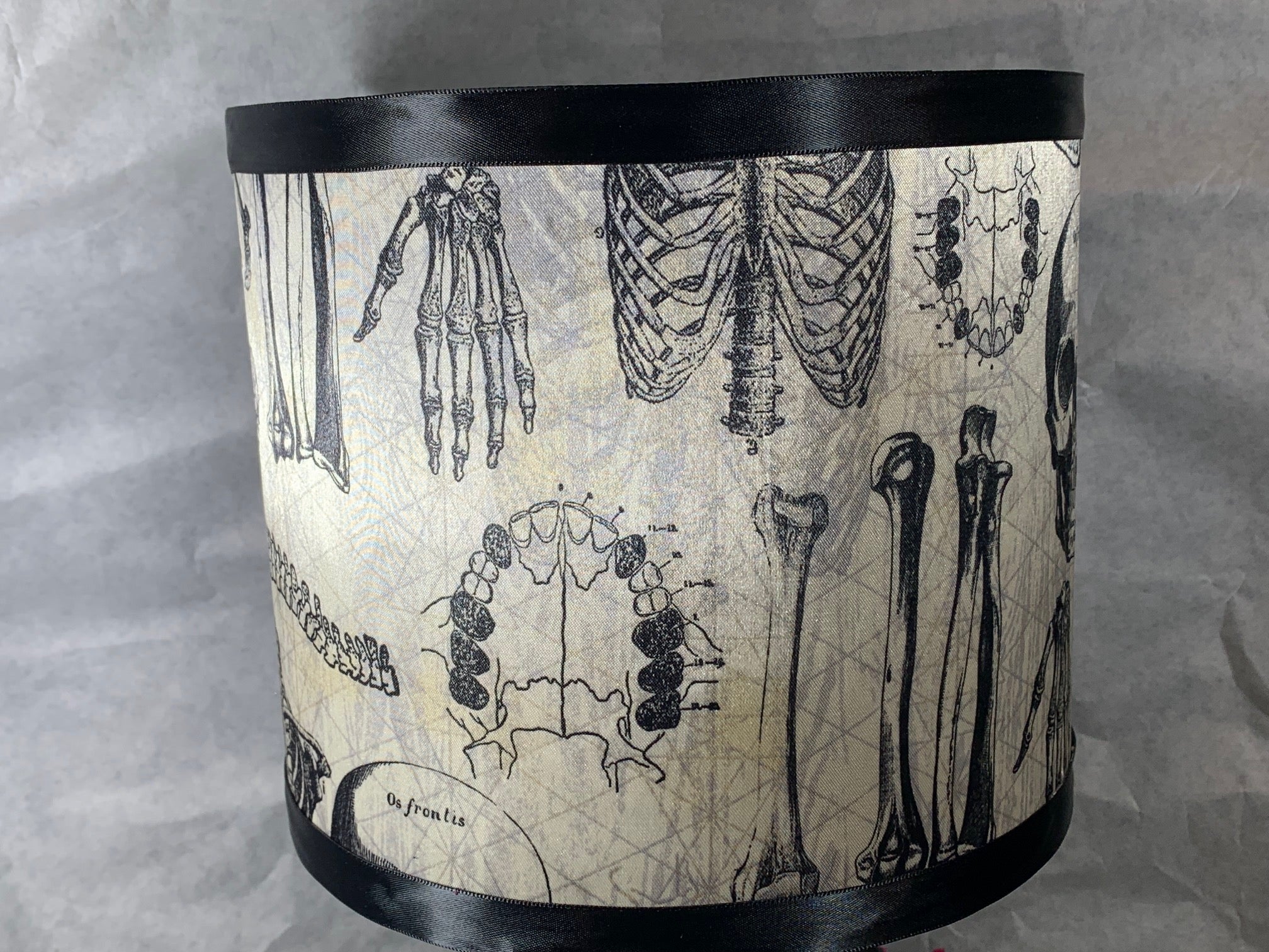 Handcrafted 3D Resin Printed Ribcage Lamp – Anatomy Chart Covered Shade and Heart Chain Pull