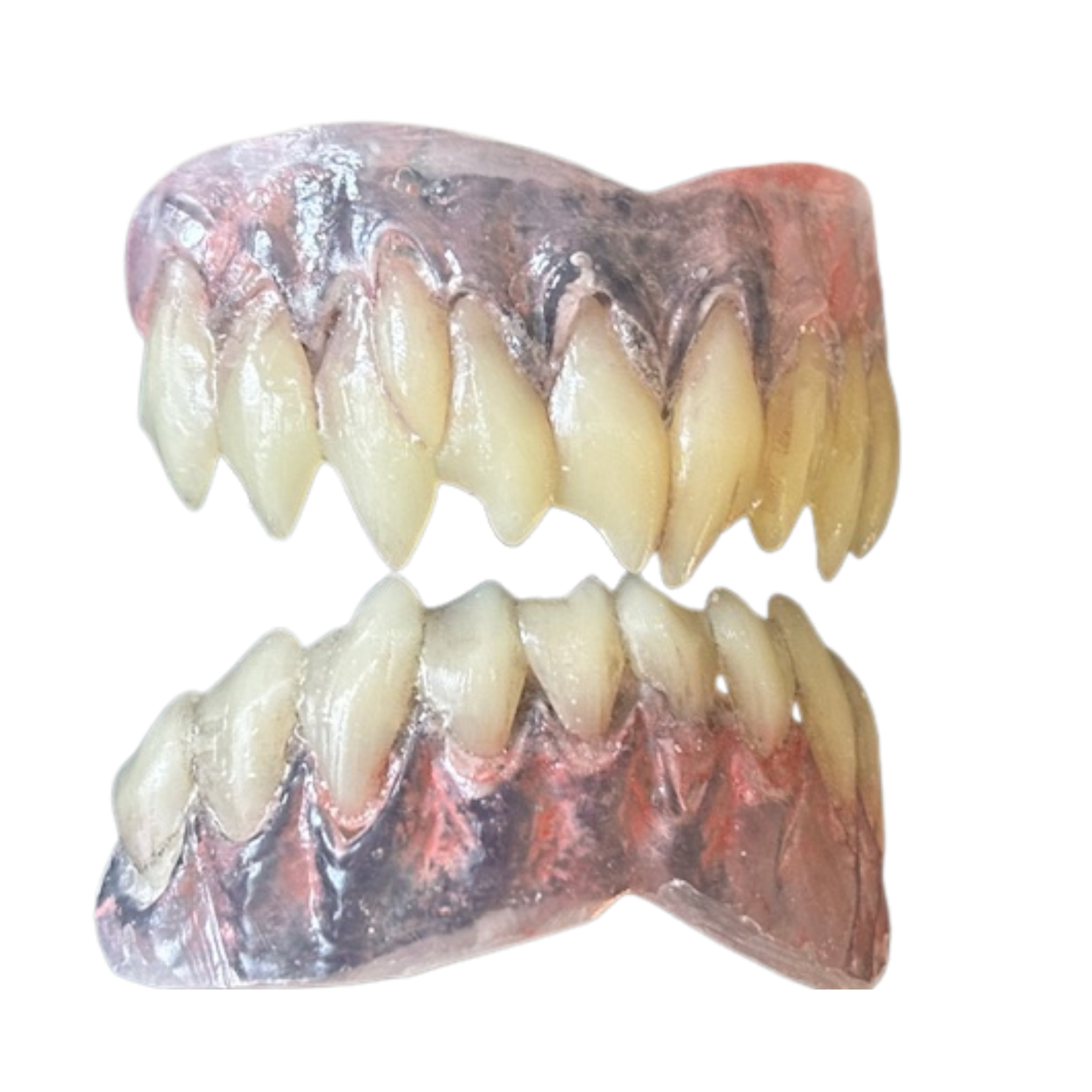 Sinful – Hand-Painted Character Teeth | Professional Resin Horror FX